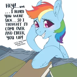 Size: 3000x3000 | Tagged: safe, artist:taytinabelle, derpibooru import, rainbow dash, pegasus, pony, bed, blushing, book, chest fluff, cute, dialogue, ear fluff, female, get well soon, hoof fluff, image, looking at you, mare, offscreen character, png, smiling, solo, talking, talking to viewer, text, unshorn fetlocks