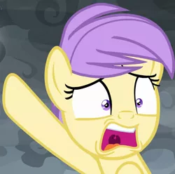 Size: 993x985 | Tagged: safe, derpibooru import, screencap, berry sweet, earth pony, season 9, the ending of the end, spoiler:s09, cropped, friendship student, image, open mouth, png, pointing, solo, worried