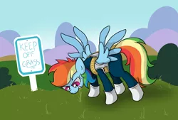 Size: 4363x2957 | Tagged: safe, artist:background basset, derpibooru import, rainbow dash, pegasus, pony, clothes, cosplay, costume, dragon ball z, fuck the police, grass, grazing, horses doing horse things, image, keep off the grass, png, sign, solo, spread wings, vegeta, wings