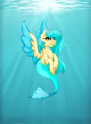 Size: 2097x2859 | Tagged: safe, artist:cyanreef, derpibooru import, oc, unofficial characters only, merpony, blue mane, bubble, crepuscular rays, eyelashes, feather, fish tail, flowing mane, flowing tail, image, looking at you, mermaid tail, ocean, png, signature, smiling, solo, spread wings, sunlight, swimming, tail, underwater, water, wings, yellow eyes