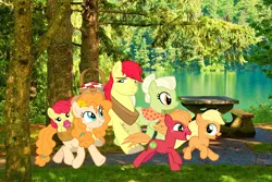 Size: 1144x766 | Tagged: safe, artist:cheezedoodle96, artist:lachlancarr1996, derpibooru import, apple bloom, applejack, big macintosh, bright mac, granny smith, pear butter, earth pony, pony, baby, baby apple bloom, basket, colt, colt big macintosh, female, filly, filly applejack, image, irl background, male, pacifier, picnic basket, png, younger