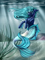 Size: 2121x2828 | Tagged: safe, artist:crazyaniknowit, derpibooru import, oc, unofficial characters only, merpony, pony, unicorn, blue mane, bubble, coral, crepuscular rays, dorsal fin, fins, fish tail, flowing mane, flowing tail, green eyes, horn, image, looking at you, mermaid tail, ocean, png, rock, sand, seaponified, seaweed, solo, species swap, sunlight, swimming, tail, underwater, water