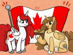 Size: 2048x1535 | Tagged: safe, artist:vanhooverpe, derpibooru import, oc, canada, canadian flag, clothes, costume, flag, image, jpeg, poutine, vanhoover pony expo