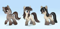 Size: 1946x934 | Tagged: safe, artist:marbo, derpibooru import, oc, oc:cold shoulder, oc:frosty flakes, oc:winter wonder, unofficial characters only, pony, taiga pony, /mlp/, 4chan, blue eyes, brown coat, brown mane, chest fluff, cute, cutie mark, drawthread, female, fluffy, gradient background, image, looking at each other, mare, open mouth, png, raised hoof, smiling, trio, unshorn fetlocks
