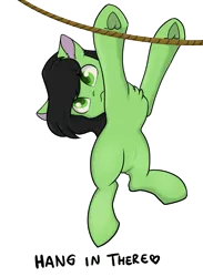 Size: 2420x3298 | Tagged: safe, artist:dumbwoofer, derpibooru import, oc, oc:anonfilly, unofficial characters only, earth pony, pony, chest fluff, ear fluff, female, filly, hanging, high res, image, looking at you, meme, meme origin, png, rope, simple background, solo, text, transparent background, underhoof, white outline