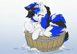 Size: 3507x2481 | Tagged: safe, artist:arctic-fox, derpibooru import, oc, unofficial characters only, pegasus, pony, ^^, bath, chest fluff, ear fluff, eye clipping through hair, eyebrows, eyebrows visible through hair, eyes closed, image, jpeg, pegasus oc, smiling, soap, solo, wings