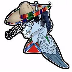 Size: 512x512 | Tagged: safe, artist:inisealga, derpibooru import, oc, oc:soaring spirit, unofficial characters only, pegasus, pony, clothes, coat markings, dialogue, facial markings, folded wings, image, jpeg, male, markings, mexican, pegasus oc, poncho, simple background, socks (coat marking), solo, solo male, sombrero, stallion, sticker, sticker pack, sticker set, text, transparent background, wings