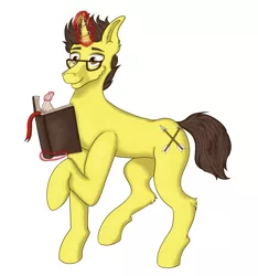 Size: 2486x2652 | Tagged: safe, artist:shypuppy, derpibooru import, oc, oc:danyb, pony, unicorn, book, glasses, image, magic, png, solo