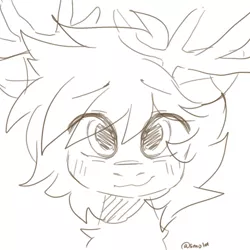 Size: 1000x1000 | Tagged: safe, artist:cottonsweets, derpibooru import, oc, oc:sirpsychojr, deer, antlers, bust, cute, image, looking at you, png, sketch
