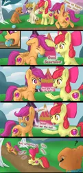 Size: 1987x4096 | Tagged: safe, artist:db, artist:dbcreativearts, derpibooru import, apple bloom, ripley, scootaloo, zippoorwhill, earth pony, pegasus, pony, forever filly, ball, behaving like a dog, comic, cute, image, jpeg, question mark, scootapup, underhoof