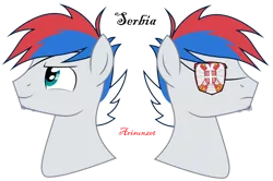 Size: 1280x848 | Tagged: safe, artist:arisunzet, derpibooru import, ponified, pony, bust, eyepatch, image, male, nation ponies, png, portrait, serbia, simple background, smiling, solo, stallion, transparent background
