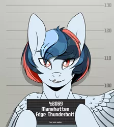 Size: 3400x3800 | Tagged: safe, artist:buy_some_apples, derpibooru import, oc, unofficial characters only, pegasus, anime style, criminal, grin, image, nameplate, png, police station, smiling