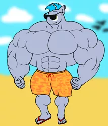 Size: 600x700 | Tagged: suggestive, artist:urkel, derpibooru import, oc, oc:front flye, unofficial characters only, anthro, bat pony, pony, abs, beach, clothes, fetish, hyper, hyper muscle, image, male, muscle fetish, muscles, overdeveloped muscles, png, simple background, solo, stallion, sunglasses, swimming trunks, swimsuit