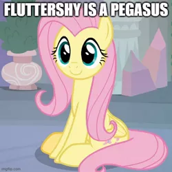 Size: 500x500 | Tagged: safe, derpibooru import, edit, edited screencap, screencap, fluttershy, pegasus, pony, non-compete clause, c:, captain obvious, caption, cropped, cute, female, image, image macro, imgflip, impact font, jpeg, mare, shyabetes, sitting, smiling, solo, text