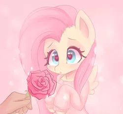 Size: 718x667 | Tagged: safe, derpibooru import, fluttershy, human, pegasus, blushing, bust, clothes, cute, daaaaaaaaaaaw, disembodied hand, female, flower, hand, heart eyes, hooves to the chest, image, looking at something, :o, offscreen character, offscreen human, open mouth, png, rose, shyabetes, solo focus, sweater, sweatershy, three quarter view, weapons-grade cute, wingding eyes