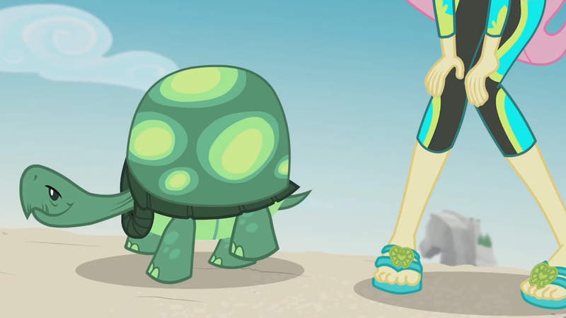 Size: 3410x1920 | Tagged: safe, derpibooru import, screencap, fluttershy, tank, tortoise, aww... baby turtles, equestria girls, equestria girls series, beach, clothes, female, high res, image, jpeg, male, sandals, swimsuit