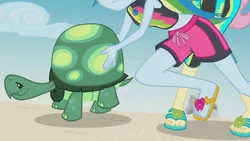 Size: 3410x1920 | Tagged: safe, derpibooru import, screencap, fluttershy, rainbow dash, tank, tortoise, aww... baby turtles, equestria girls, equestria girls series, beach, belly button, clothes, female, geode of super speed, high res, image, jewelry, jpeg, magical geodes, male, necklace, sandals, smiling, swimsuit