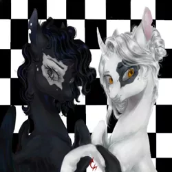 Size: 512x512 | Tagged: safe, artist:coconuthound, derpibooru import, oc, unofficial characters only, pegasus, pony, unicorn, checkered background, duo, facial markings, image, jpeg
