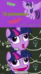 Size: 500x892 | Tagged: safe, derpibooru import, twilight sparkle, bill wurtz, captain obvious, educational, faic, image, jpeg, meme, pudding face, starlight says bravo, style emulation