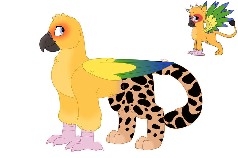 Size: 1280x854 | Tagged: safe, artist:itstechtock, derpibooru import, oc, oc:mango, bird, gryphon, hybrid, parrot, parrot griffon, female, image, jpeg, simple background, solo, white background