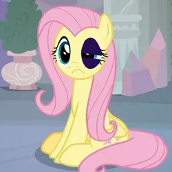 Size: 743x743 | Tagged: semi-grimdark, derpibooru import, edit, edited screencap, screencap, fluttershy, pegasus, pony, non-compete clause, :c, abuse, abuse edit, black eye, bruised, cropped, female, flutterbuse, frown, image, inverted mouth, mare, op is a duck, op is trying to start shit, op isn't even trying anymore, png, sitting, solo