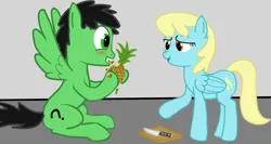 Size: 1725x915 | Tagged: safe, artist:azgchip, derpibooru import, sassaflash, oc, oc:anon, pegasus, pony, anon pony, blushing, confused, cutting board, digital art, duo, eating, folded wings, food, image, knife, messy eating, pineapple, png, simple background, sitting, spread wings, standing, wingboner, wings, you're doing it wrong