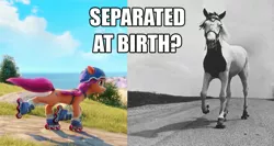 Size: 1122x598 | Tagged: safe, derpibooru import, edit, edited screencap, editor:wild stallions, screencap, sunny starscout, horse, my little pony: a new generation, comparison, g5, image, irl, irl horse, jimmy the roller skating horse, photo, png, roller skates, separated at birth