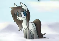 Size: 835x587 | Tagged: safe, artist:anonymous, oc, oc:frosty flakes, unofficial characters only, pony, taiga pony, blaze (coat marking), chest fluff, ear fluff, ears, female, fluffy, image, looking at something, mare, outdoors, png, snow, socks (coat marking), solo