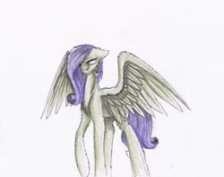 Size: 1140x898 | Tagged: safe, artist:penrosa, derpibooru import, oc, unofficial characters only, pegasus, pony, image, pegasus oc, png, simple background, solo, traditional art, white background, wings