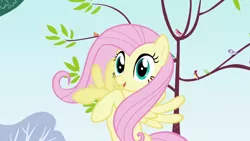 Size: 1920x1080 | Tagged: safe, derpibooru import, screencap, fluttershy, bird, pegasus, pony, friendship is magic, female, image, mare, open mouth, outdoors, png, raised hoof, smiling, solo, songbird, tree