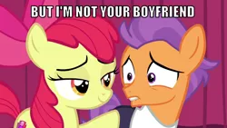 Size: 1066x600 | Tagged: safe, derpibooru import, edit, edited screencap, editor:twi clown, screencap, apple bloom, tender taps, earth pony, pony, on your marks, bedroom eyes, caption, duo, female, filly, image, image macro, implied tenderbloom, lidded eyes, lip bite, male, png, smiling, text, wide eyes