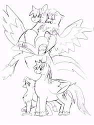 Size: 600x800 | Tagged: safe, artist:kushina13, derpibooru import, oc, oc:ashina, unofficial characters only, gryphon, pegasus, pony, blushing, carrying, chest fluff, female, folded wings, grayscale, grin, image, jpeg, larger male, leonine tail, male, monochrome, open mouth, open smile, paw pads, size difference, smaller female, smiling, spread wings, stallion, tail, unshorn fetlocks, wings