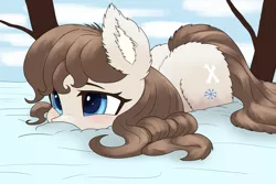 Size: 3600x2400 | Tagged: safe, artist:ahobobo, derpibooru import, oc, oc:frosty flakes, unofficial characters only, earth pony, pony, taiga pony, ear fluff, fluffy, image, lying down, png, prone, snow, solo