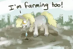 Size: 800x530 | Tagged: safe, artist:tilling-tan, derpy hooves, fish, pony, taiga pony, farming, female, fluffy, image, looking at you, mare, png, signature, silly, socks (coat marking), solo, unshorn fetlocks