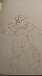 Size: 722x1280 | Tagged: safe, artist:kushina13, derpibooru import, rainbow dash, pegasus, pony, arm behind head, belly button, book, female, image, jpeg, lying down, mare, on back, solo, spread wings, traditional art, wings, wip