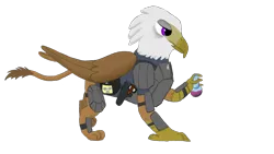 Size: 3264x1836 | Tagged: safe, artist:hawkeye92, derpibooru import, oc, oc:kasimir longtalons, gryphon, fallout equestria, armor, fallout equestria: longtalons, griffon oc, image, medic, png, simple background, talon merc, tired, transparent background