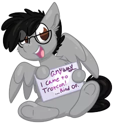 Size: 1996x2108 | Tagged: safe, artist:littleblackraencloud, derpibooru import, oc, oc:moon ray, unofficial characters only, pegasus, pony, anyway come to trotcon, glasses, image, male, pegasus oc, png, sign, smiling, solo, trotcon, trotcon online, wings