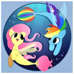Size: 2330x2330 | Tagged: safe, artist:syrupyyy, derpibooru import, fluttershy, rainbow dash, pony, seapony (g4), my little pony: the movie, bubble, cute, dashabetes, duo, female, image, mare, open mouth, png, seaponified, seapony fluttershy, seapony rainbow dash, shyabetes, species swap, underwater, water, water bubble