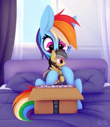 Size: 1215x1398 | Tagged: safe, artist:omi, derpibooru import, daring do, rainbow dash, pegasus, pony, bed, bedroom, box, female, image, package, plushie, png, solo