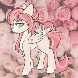 Size: 2000x2000 | Tagged: safe, artist:billysan727, derpibooru import, oc, oc:naussica rose, unofficial characters only, pegasus, pony, blue eyes, coat markings, colored pupils, colored wings, colored wingtips, elegant, eyebrows, eyebrows visible through hair, eyelashes, flower, fluffy, folded wings, hair bun, high res, image, lidded eyes, long tail, looking at you, multicolored mane, multicolored tail, pale belly, pegasus oc, png, real life background, rose, side view, smiling, smiling at you, socks (coat marking), solo, tail, tail bun, two toned wings, wing fluff, wings