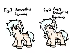 Size: 934x640 | Tagged: safe, artist:neuro, ponybooru import, oc, oc:puffins, unofficial characters only, pony, taiga pony, /mlp/, angry, chest fluff, ear fluff, ears, female, fluffy, image, lidded eyes, mare, piebald, png, simple background, snowpity, solo, unshorn fetlocks, white background