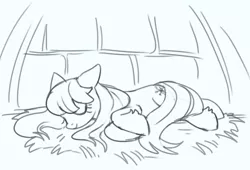 Size: 1129x767 | Tagged: safe, artist:marbo, ponerpics import, oc, oc:frosty flakes, unofficial characters only, pony, taiga pony, /mlp/, black and white, eyes closed, female, grayscale, image, mare, monochrome, png, simple background, sketch, sleeping, smiling, solo