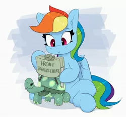 Size: 2735x2526 | Tagged: safe, artist:pabbley, derpibooru import, rainbow dash, tank, pegasus, pony, tortoise, claymore mine, female, image, jpeg, male, mare, tape, this will end in death, this will end in tears, weapon