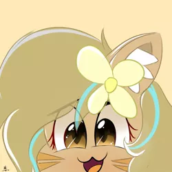 Size: 1000x1000 | Tagged: safe, artist:grithcourage, derpibooru import, oc, oc:grith courage, cat, earth pony, pony, adorable face, cheering, cute, ear fluff, flower, flower in hair, happy, image, jpeg, simple, simple background, solo