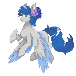 Size: 800x800 | Tagged: safe, artist:lxran4, derpibooru import, oc, oc:zephyrpony, pegasus, pony, image, png