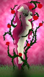 Size: 618x1080 | Tagged: safe, artist:smilodonkahn, derpibooru import, roseluck, earth pony, pony, female, flower, image, png, rose, solo, thorns