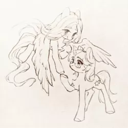 Size: 1080x1080 | Tagged: safe, artist:玉米, derpibooru import, fluttershy, oc, oc:forestar, pegasus, pony, unicorn, cute, image, jpeg, love