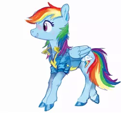 Size: 915x855 | Tagged: safe, artist:spectralunicorn, derpibooru import, rainbow dash, pegasus, pony, clothes, colored hooves, female, image, jacket, jpeg, mare, simple background, solo, white background, wonderbolts, wonderbolts jacket