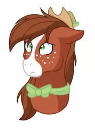 Size: 1024x1368 | Tagged: safe, artist:6-fingers-lover, derpibooru import, oc, unofficial characters only, earth pony, pony, bowtie, bust, earth pony oc, freckles, image, magical gay spawn, male, offspring, parent:big macintosh, parent:trouble shoes, parents:troublemac, png, solo, stallion