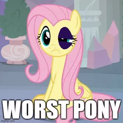 Size: 500x500 | Tagged: semi-grimdark, derpibooru import, edit, edited screencap, screencap, fluttershy, pegasus, pony, non-compete clause, 1000 hours in ms paint, :c, abuse, abuse edit, black eye, bruised, caption, cropped, exploitable meme, female, flutterbuse, frown, image, image macro, imgflip, impact font, inverted mouth, jpeg, mare, meme, op is a duck, op is trying to start shit, op is worst op, sitting, solo, text, worst pony